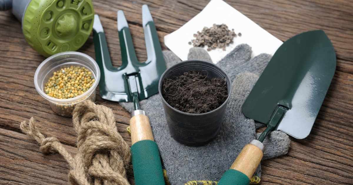 The 17 Best & Worst Garden Supplies I Ordered Online in 2020 The