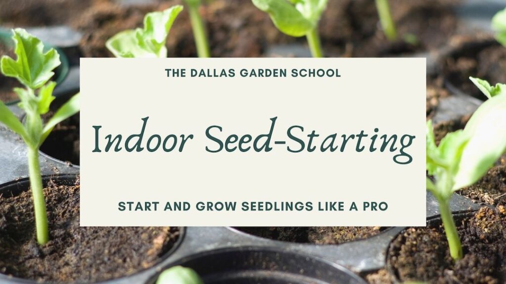Dallas Garden School Indoor Seed-Starting Course