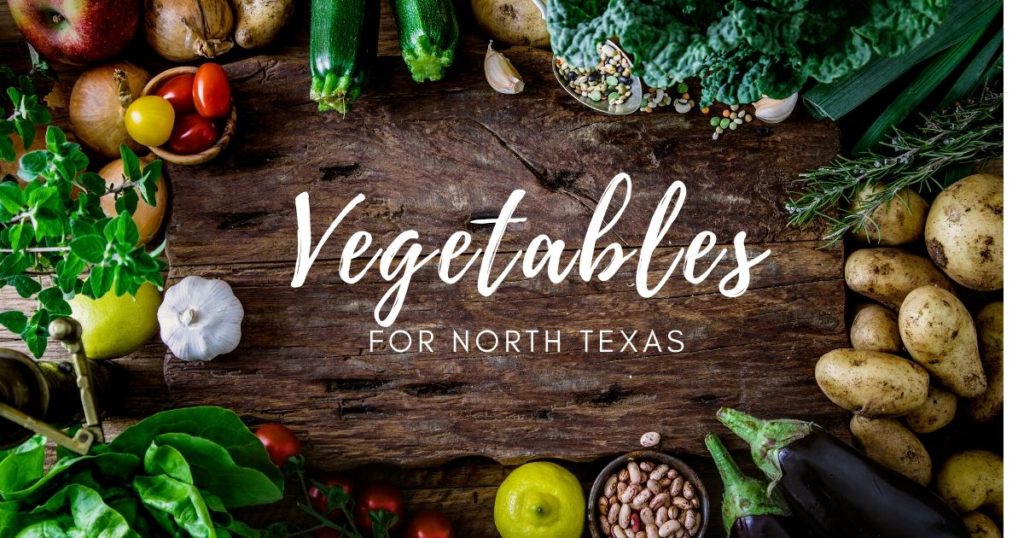 Vegetables that GRow Well in North Texas