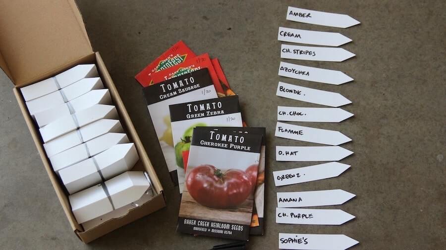 a selection of seeds for starting fall tomatoes in north texas