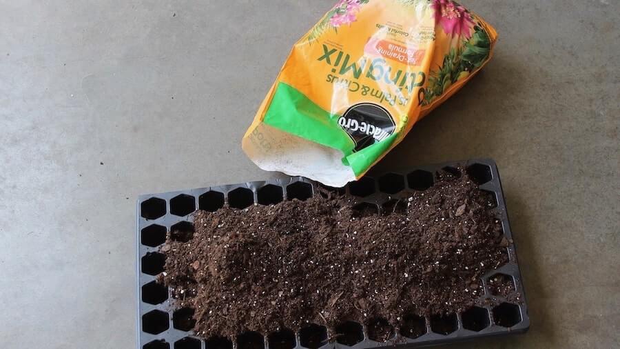 seed starting mix into cell tray