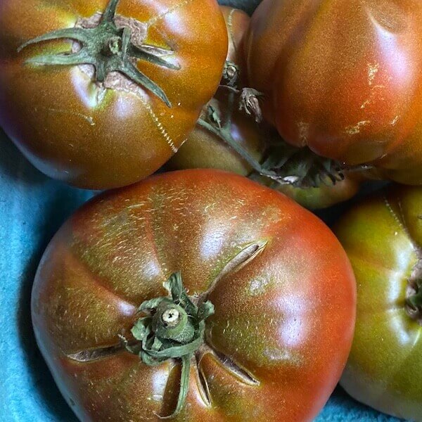 paul robeson heirloom tomato