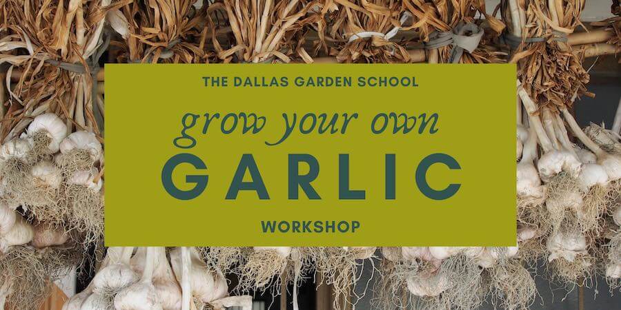 garlic workshop class