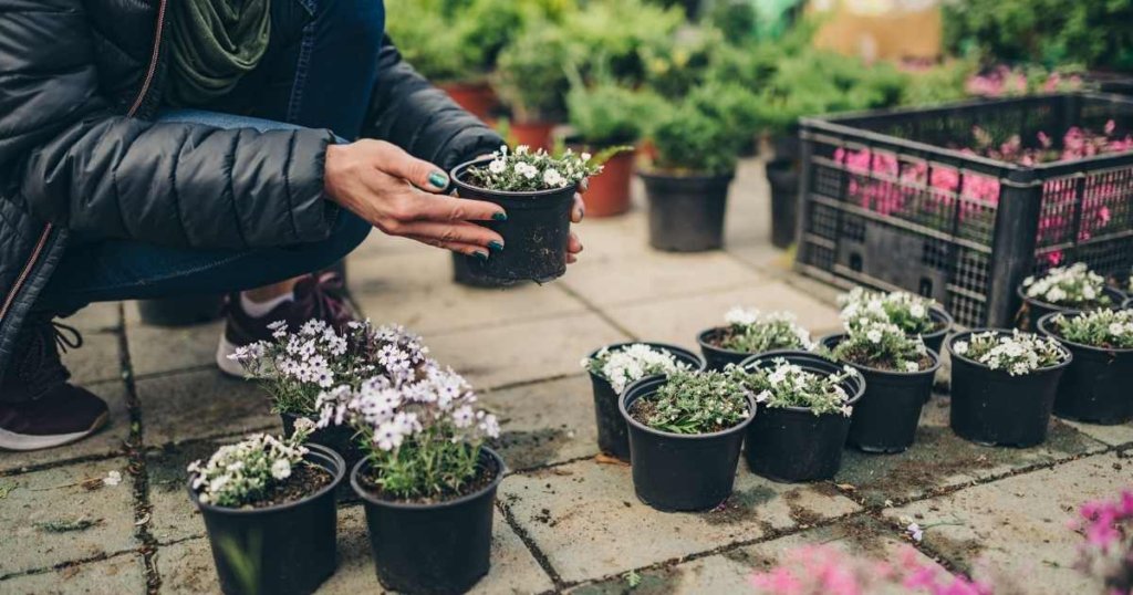 2021 North Texas Spring Plant Sales