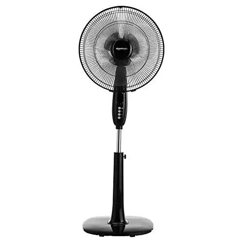 Oscillating Fan