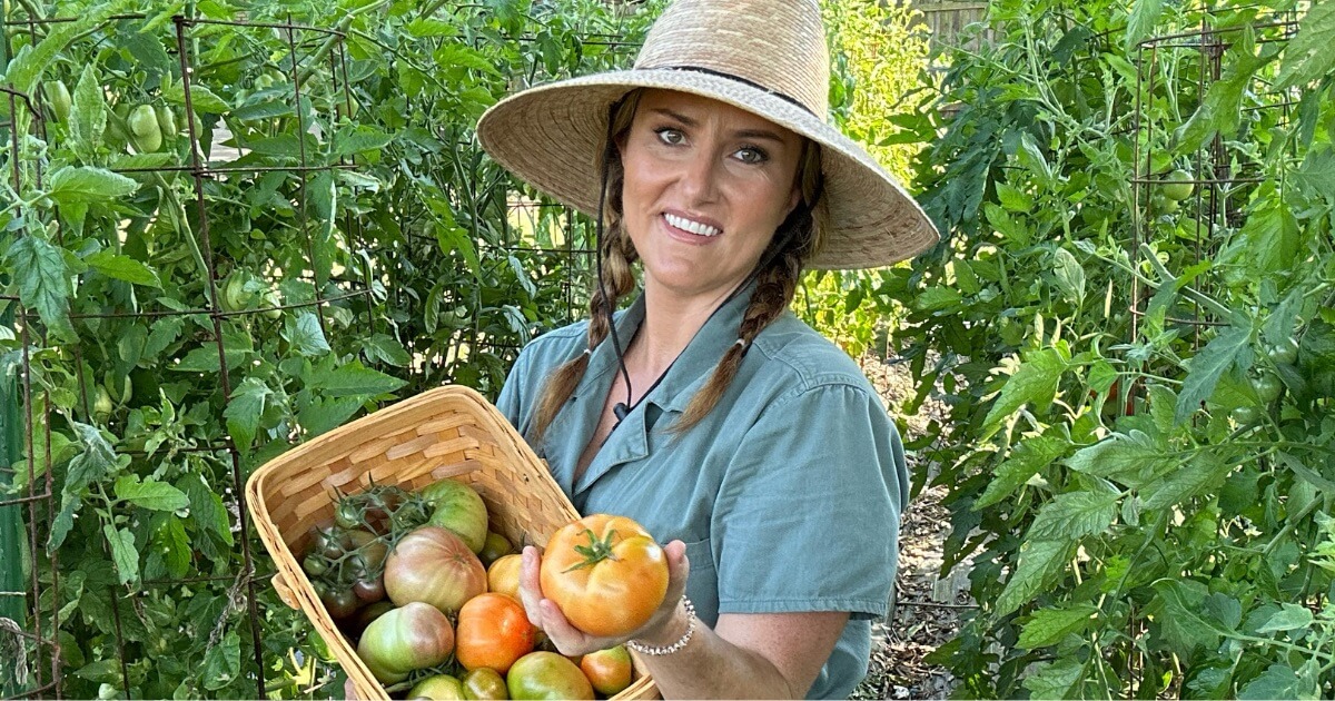 Garden educator Callie Works-Leary holding a basket of heirloom tomatoes in her DFW North Texas garden.